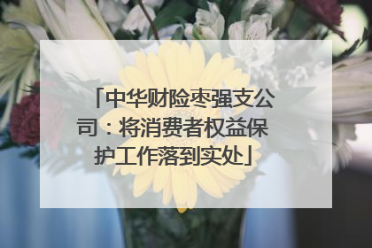 中华财险枣强支公司：将消费者权益保护工作落到实处